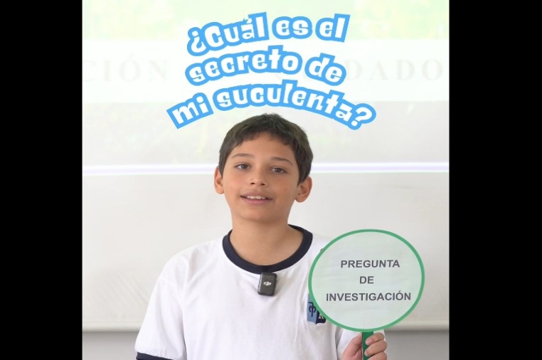 Proyecto: Cuidado de las suculentas