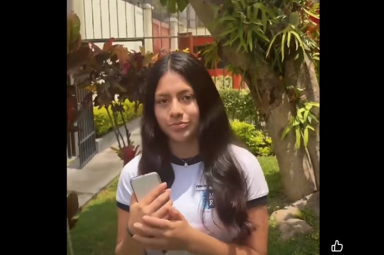 Las plantas: héroes silenciosos que cuidan nuestro planeta