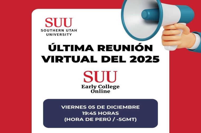 Última Reunión Virtual del 2025