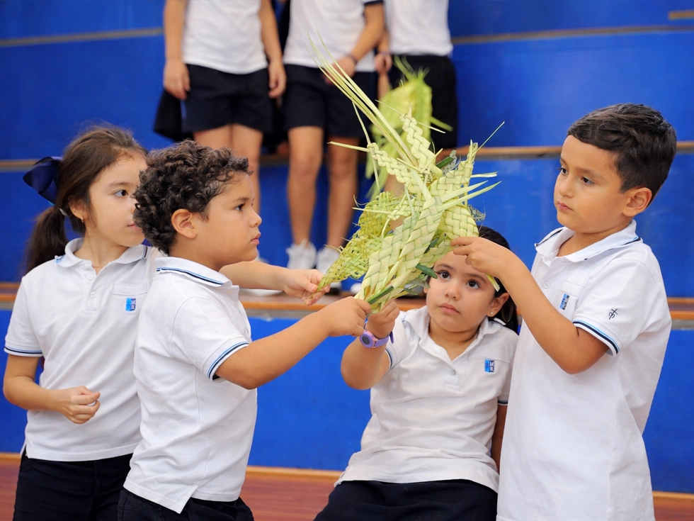 New Collection Baby Girl